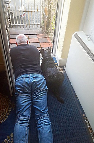 002-20190722 Faithfull Friend.jpg.medium